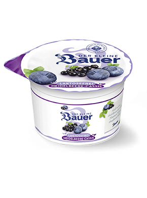 bauer natur joghurt trinkjoghurt heidelbeer cassis laktosefrei bauer natur joghurt trinkjoghurt heidelbeer cassis laktosefrei
